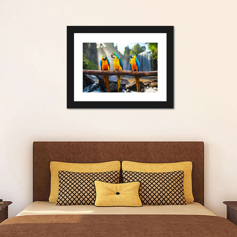 Macaw Friends Wall Art