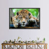 Lazy Leopard Wall Art