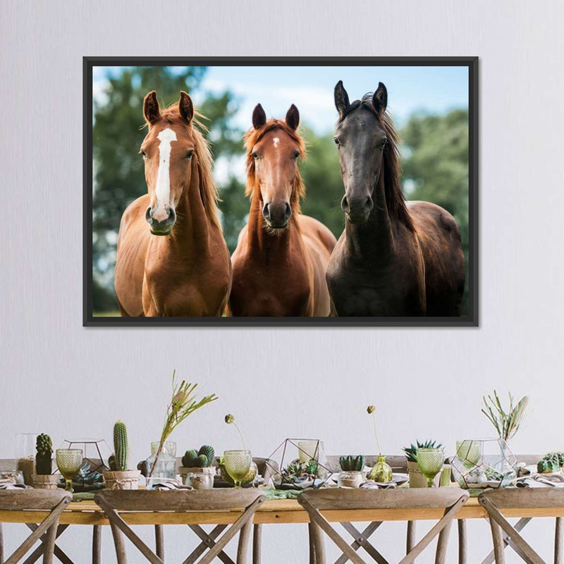 Young Horses Wall Art