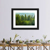 Lush Green Pine Trees Wall Art