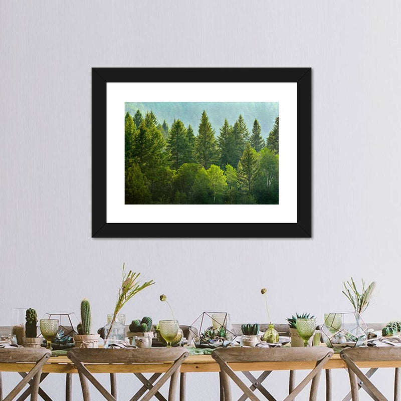Lush Green Pine Trees Wall Art