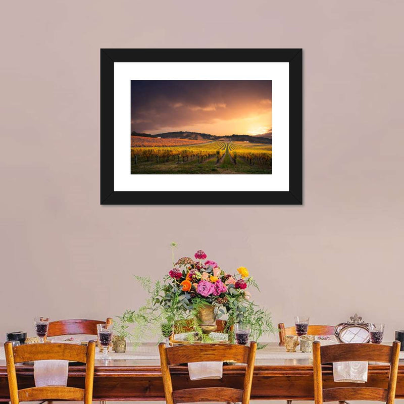 South Australia Vineyard Wall Art