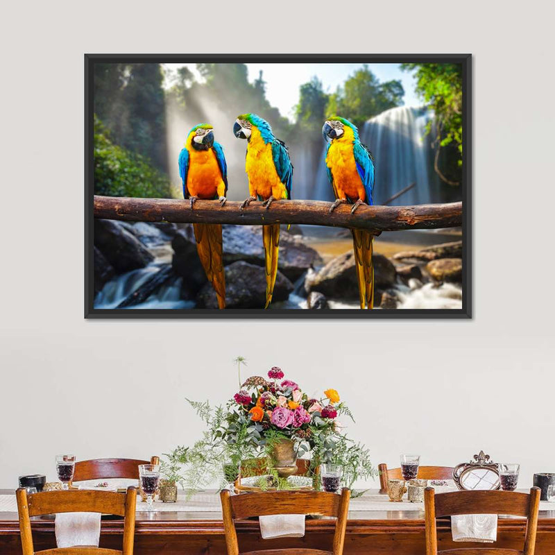 Macaw Friends Wall Art