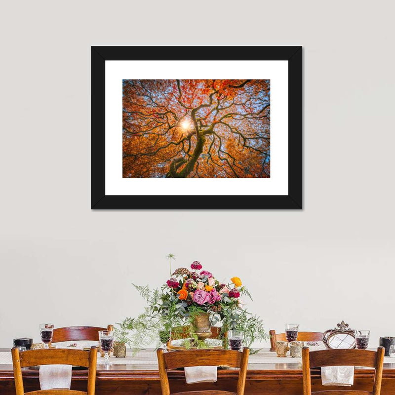 Japanese Maple Tree Wall Art