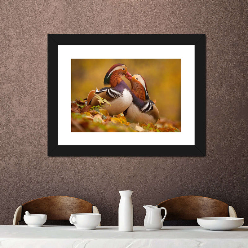 Loving Mandarin Ducks Wall Art