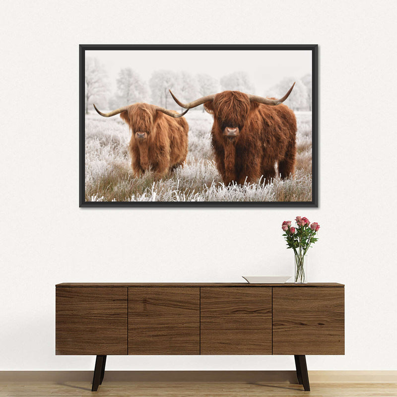 Hairy Scottish Highland Cows Wall Art