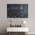 Spider Web Wall Art
