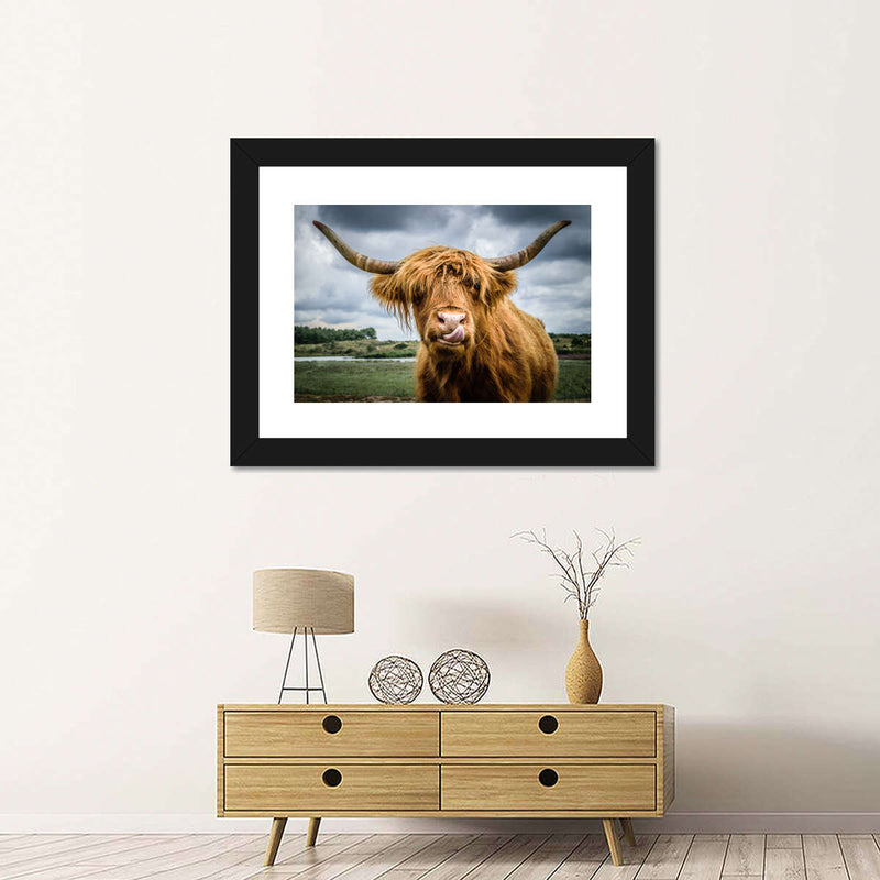 Silly Highland Cow Wall Art