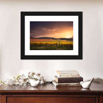 South Australia Vineyard Wall Art