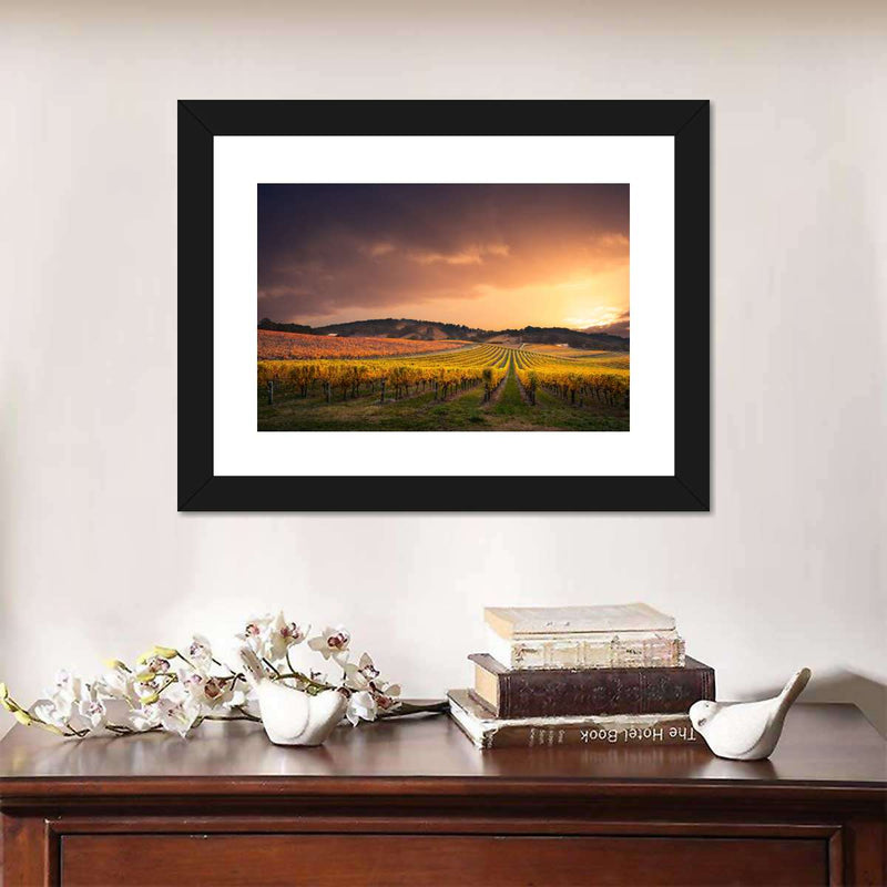 South Australia Vineyard Wall Art