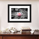 Lotus Flower Wall Art