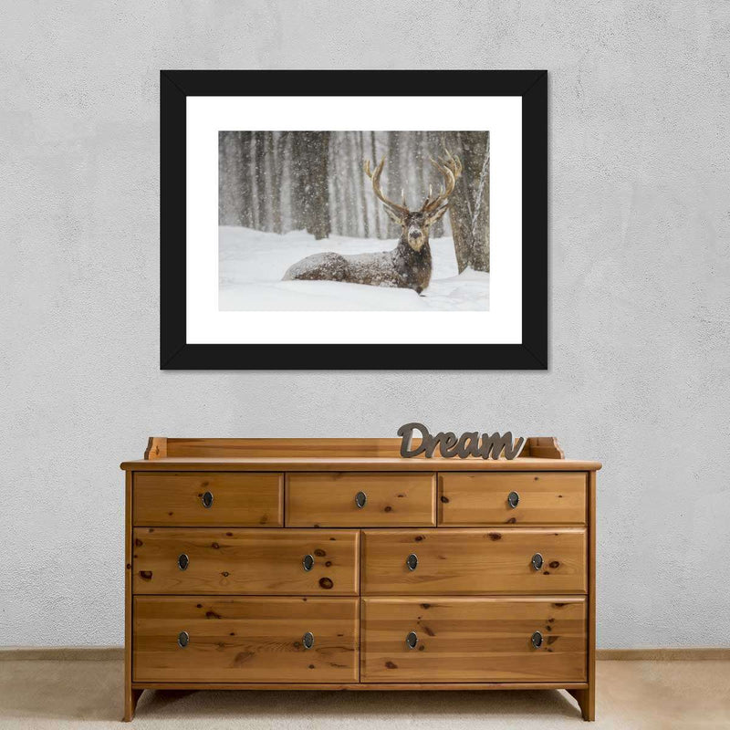 Snow Covered Elk Wall Art