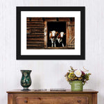 Pair Of Cows Wall Art