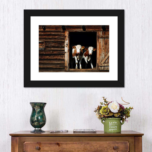 Pair Of Cows Wall Art