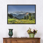 Rocky Mountain National Park Meadow Wall Art