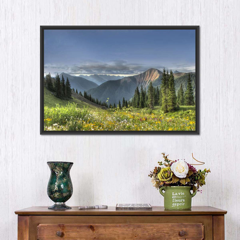 Rocky Mountain National Park Meadow Wall Art