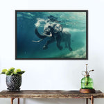 Swimming Elephant Wall Art