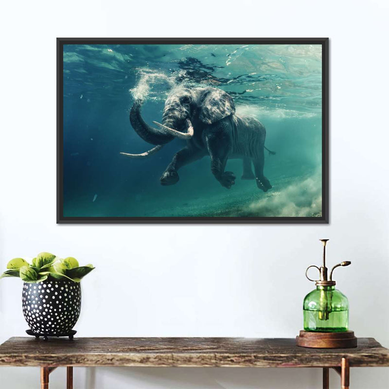 Swimming Elephant Wall Art