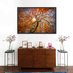 Japanese Maple Tree Wall Art