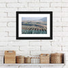 Tequila Jalisco Agave Field Wall Art