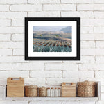 Tequila Jalisco Agave Field Wall Art