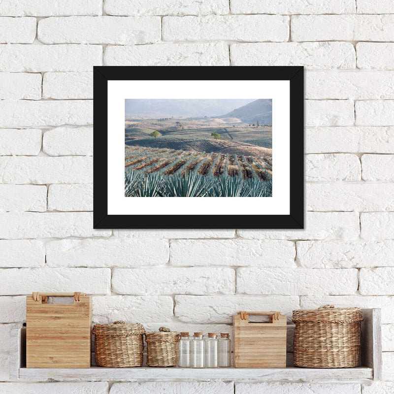 Tequila Jalisco Agave Field Wall Art