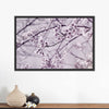 Pastel Sakura Wall Art