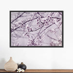 Pastel Sakura Wall Art
