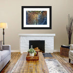 Tree Trunk Pattern Wall Art