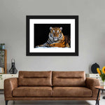 Tiger Snapshot Wall Art