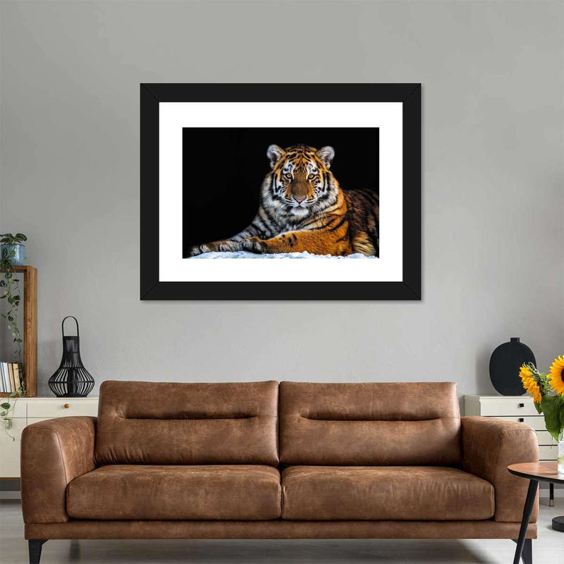 Tiger Snapshot Wall Art