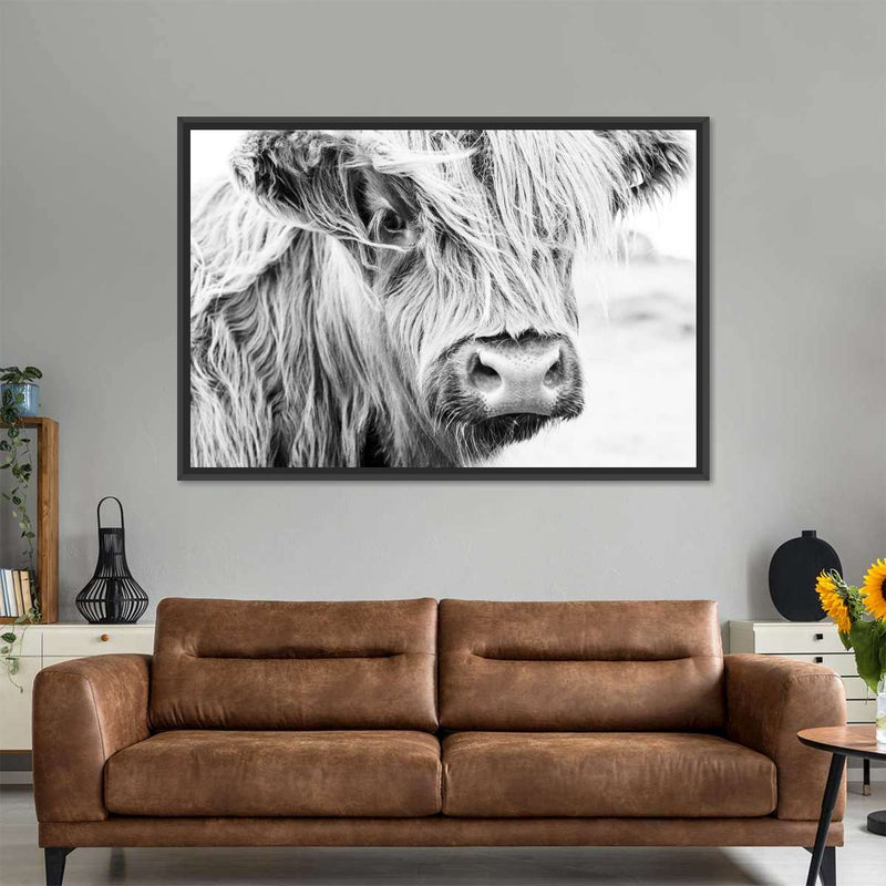 Long Haired Cow Wall Art