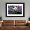 Rare Cannabis Plant Wall Art