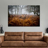 Richmond Park Deer Wall Art