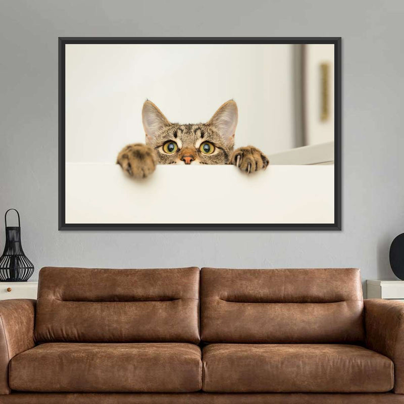 Peeking Young Cat Wall Art