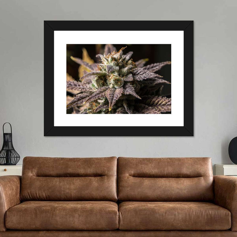 Marijuana In Winter Wall Art