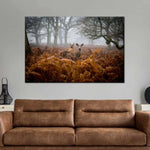 Richmond Park Deer Wall Art