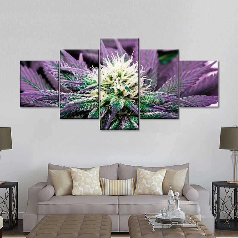 Rare Cannabis Plant Wall Art