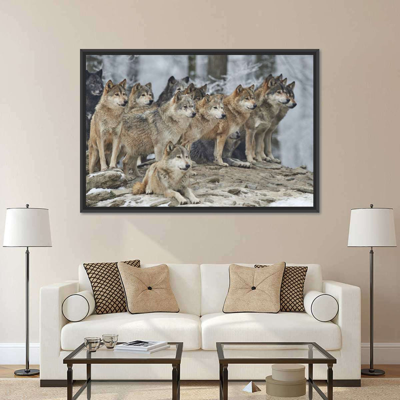 Wild Wolf Pack Wall Art