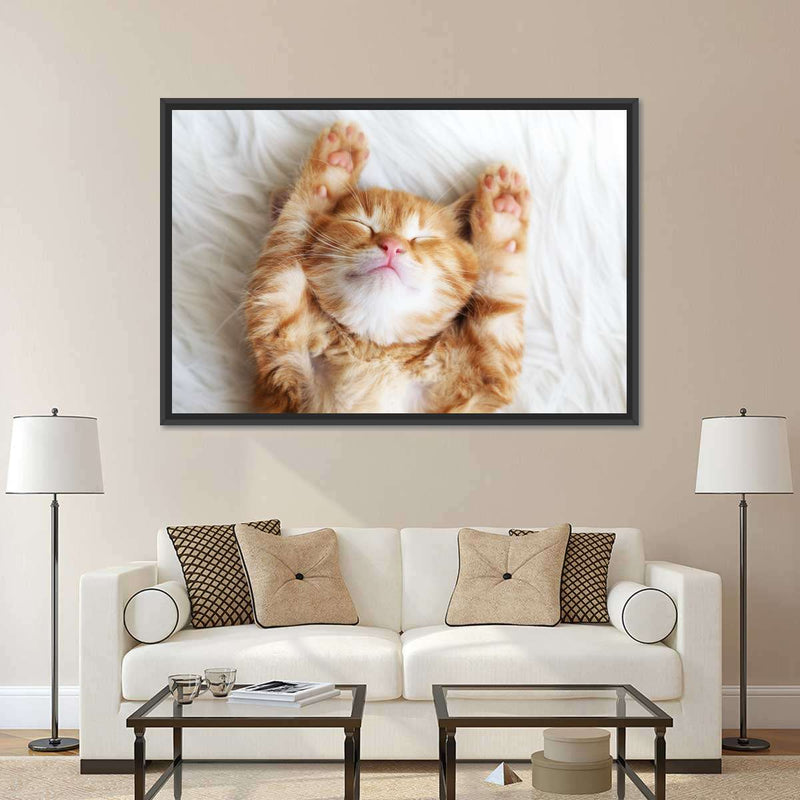 Sleepy Kitty Wall Art