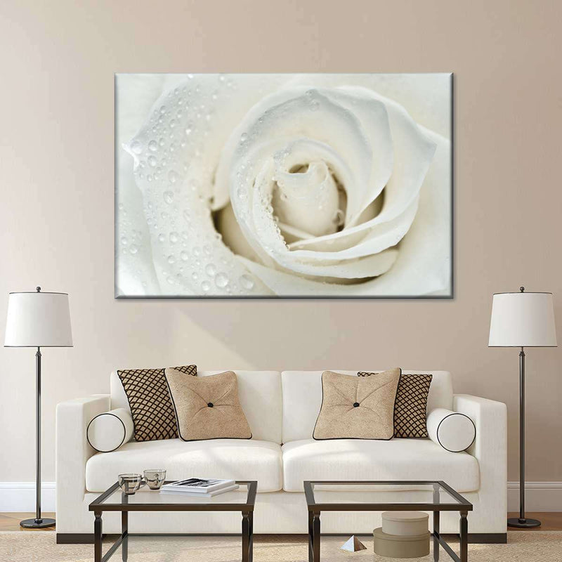 White Rose Close Up Wall Art
