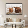 Hairy Scottish Highland Cows Wall Art