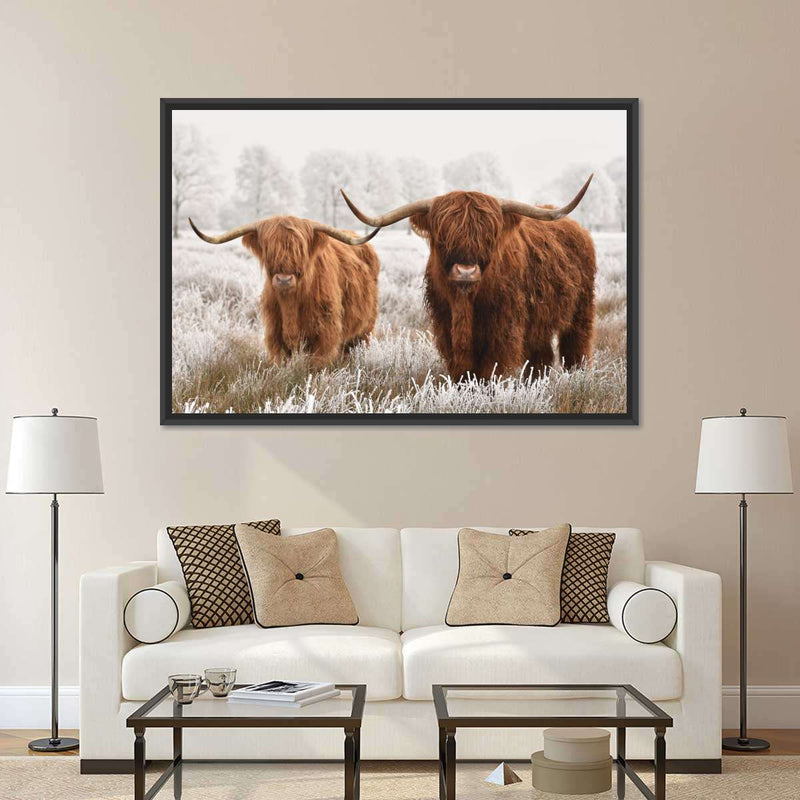 Hairy Scottish Highland Cows Wall Art