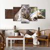 Resting White Tiger Wall Art