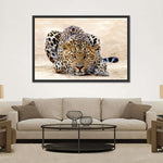 Watchful Jaguar Wall Art