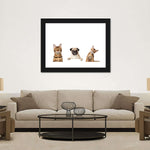 Pug And Cats Wall Art