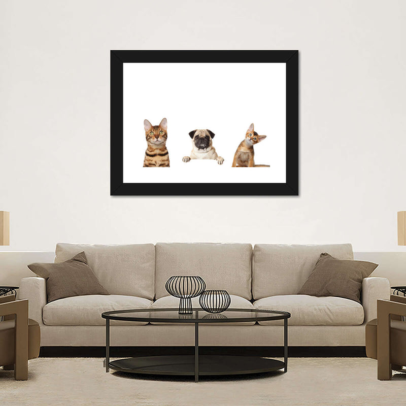 Pug And Cats Wall Art