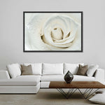 White Rose Close Up Wall Art