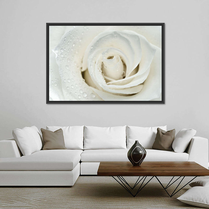 White Rose Close Up Wall Art