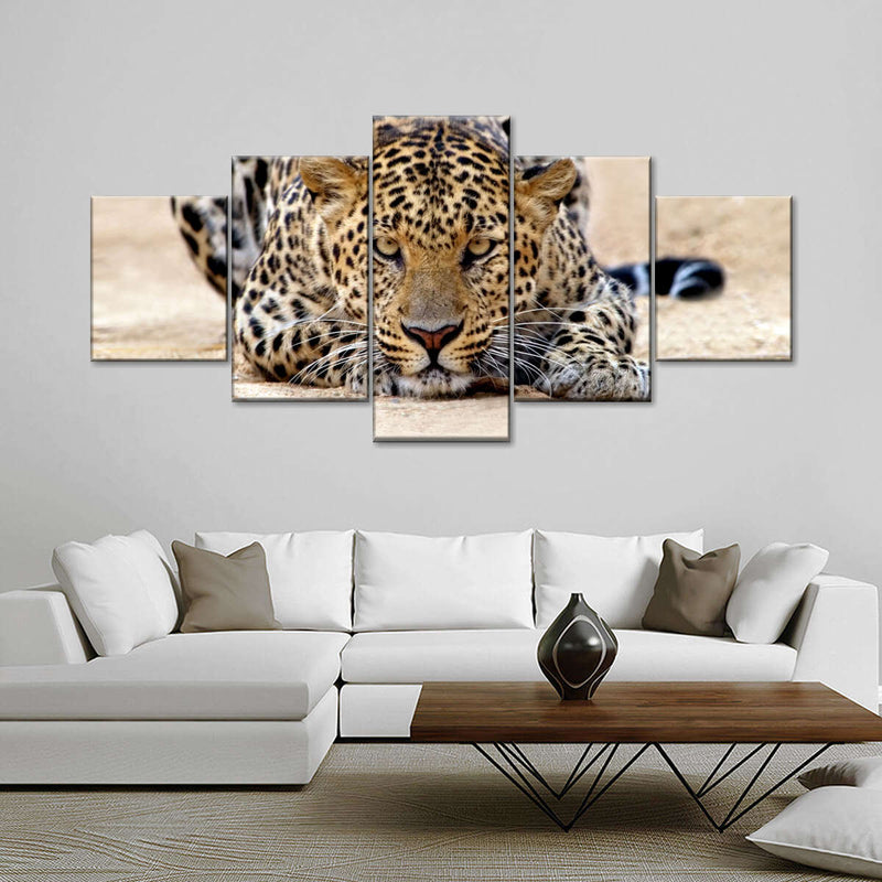 Watchful Jaguar Wall Art